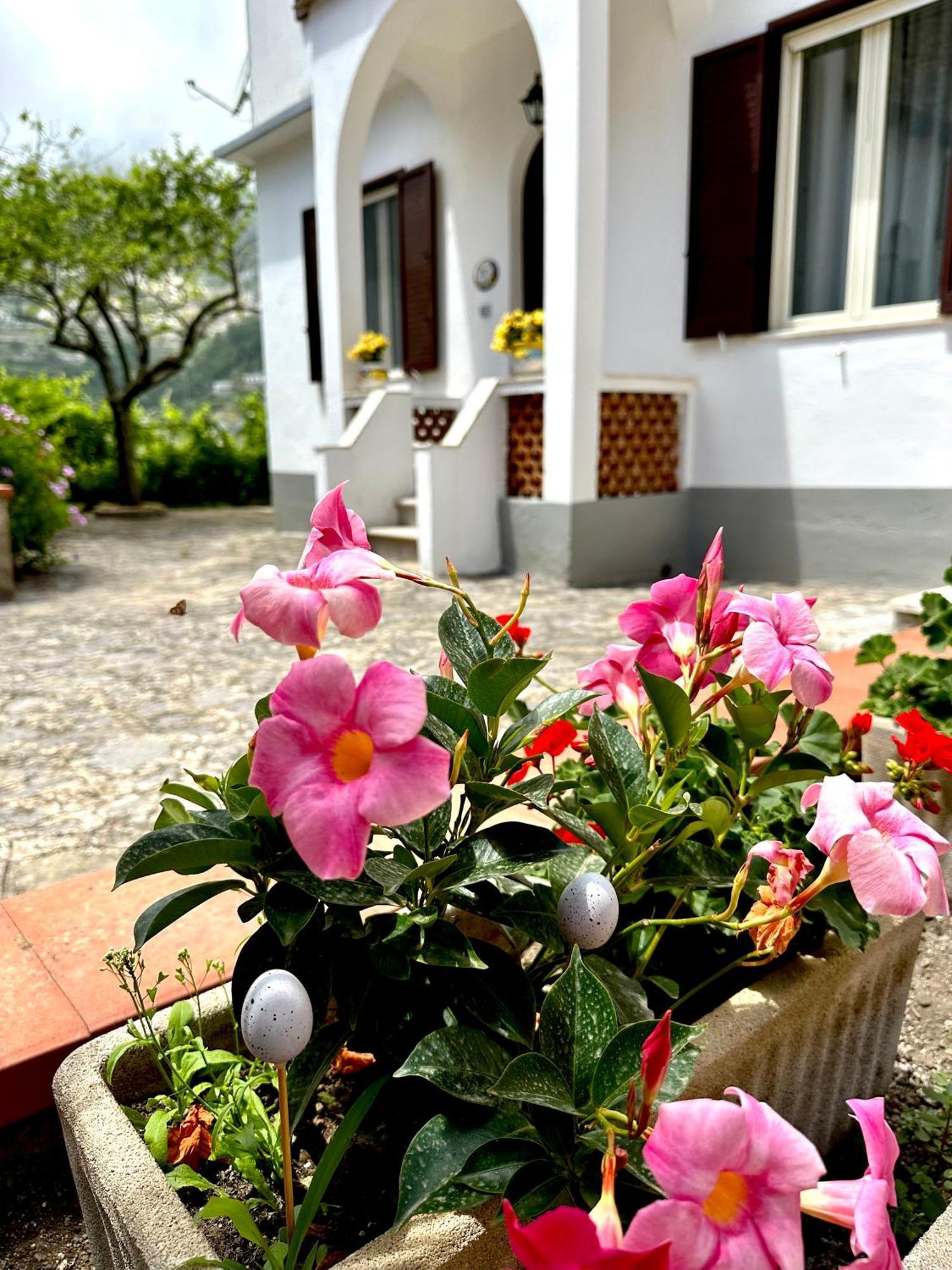 Villa Simona House Ravello Exterior foto
